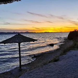 Moli Bibinje